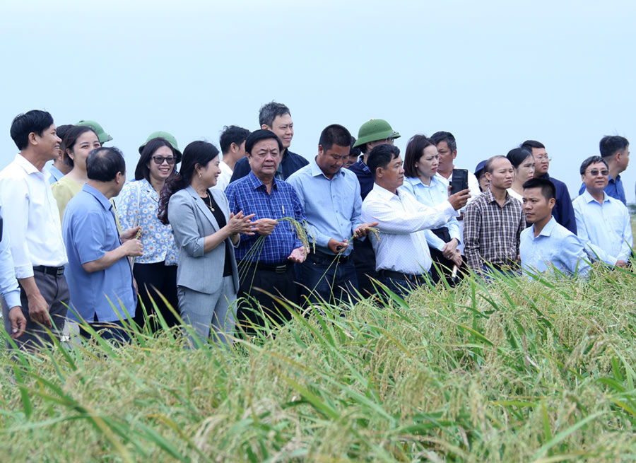 Towards a sustainable, multi-value agriculture. Photo: Trung Quan