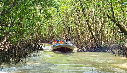 Di xuyen rung ngap man Mui Ca Mau. Anh: Nhat Ho