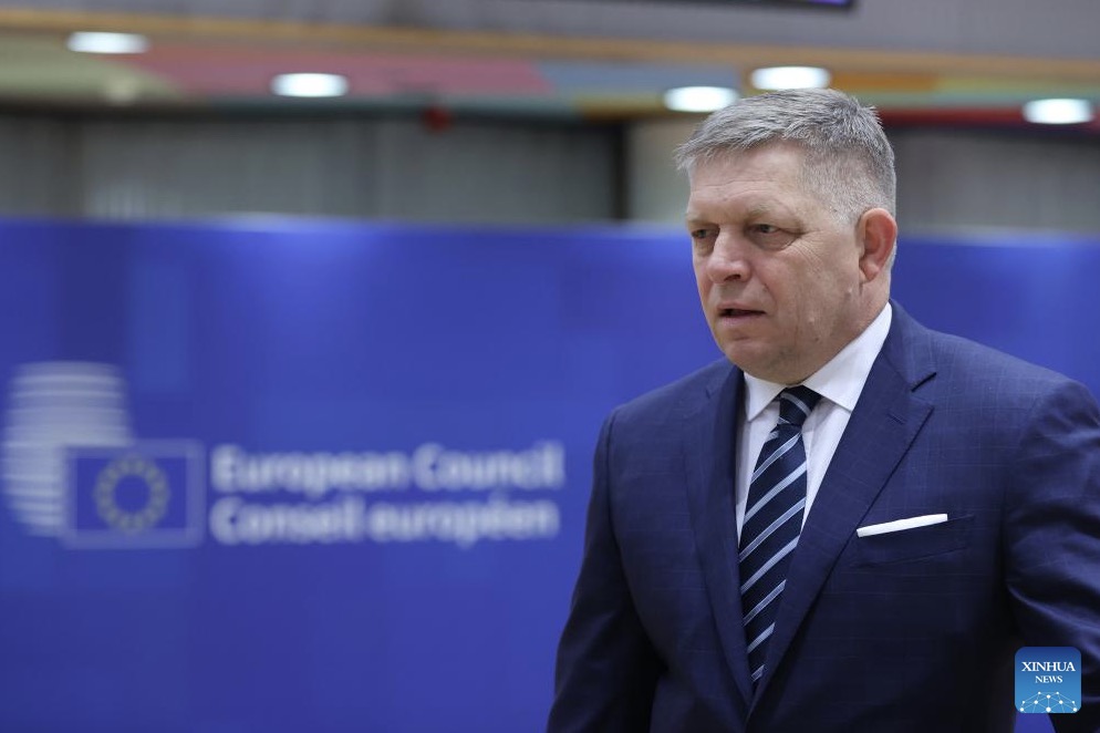 Slovak Prime Minister Robert Fico discussed the potential of securing Russian gas through Türkiye with the Turkish President. Photo: Xinhua