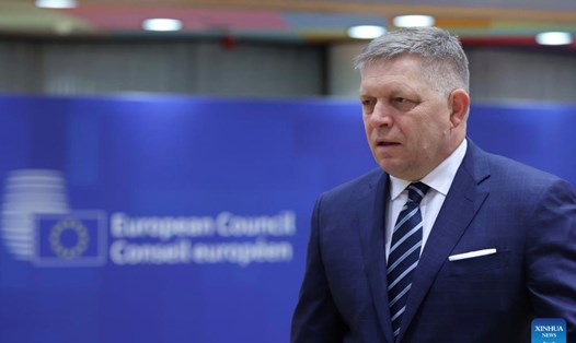 Thủ tướng Slovakia Robert Fico đã thảo luận về tiềm năng đảm bảo khí đốt Nga thông qua Thổ Nhĩ Kỳ với Tổng thống Thổ Nhĩ Kỳ. Ảnh: Xinhua