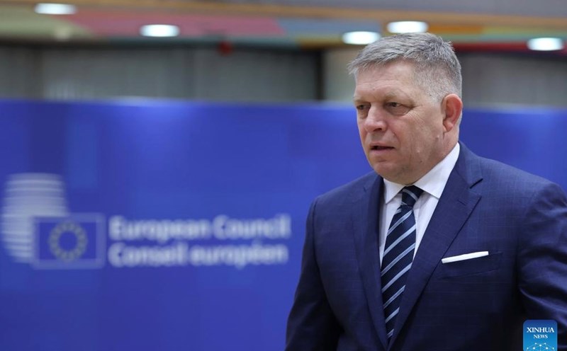Slovak Prime Minister Robert Fico discussed the potential of securing Russian gas through Türkiye with the Turkish President. Photo: Xinhua