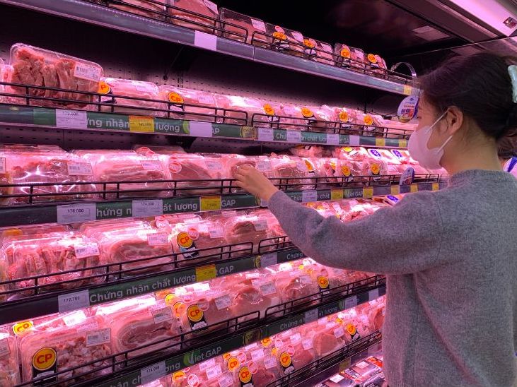 The highest price of live pigs in the country is currently at 69,000 VND/kg. Photo: Phuong Anh