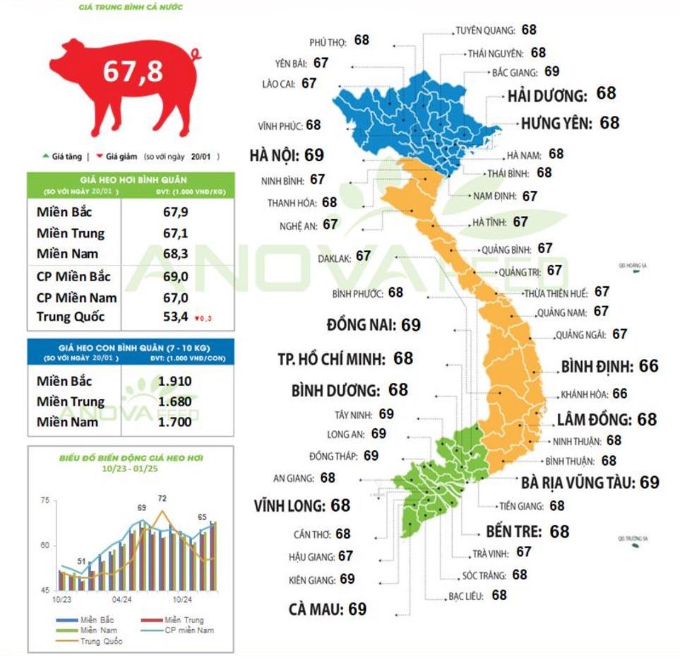 Cập nhật giá lợn toàn quốc ngày 21.1.2025. Nguồn: Anova Feed