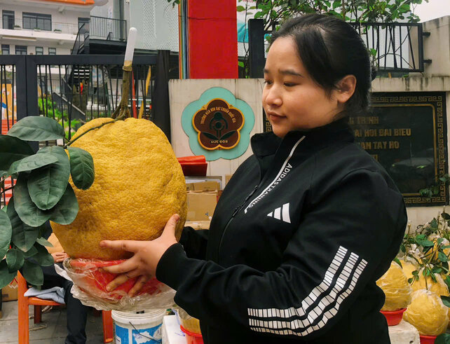 Loai bong Ky Da khong lo thu hut nhieu khach den mua. (Anh: Lan Huong)  