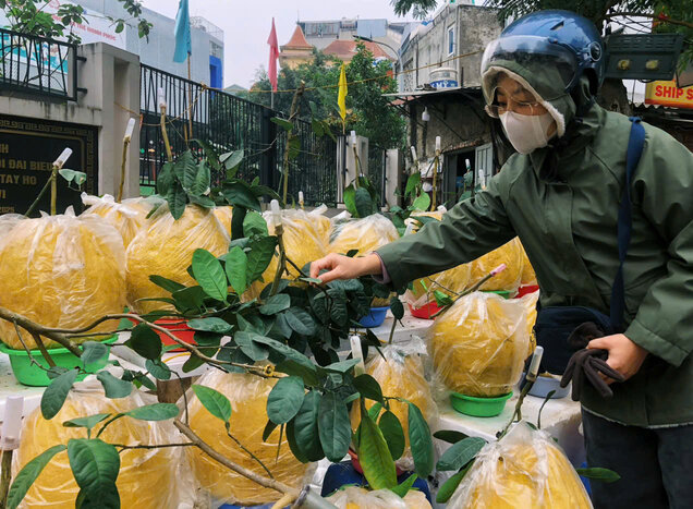 Chi Hong chon duoc mot qua bong ung y voi gia 600.000 dong. (Anh: Lan Huong)  