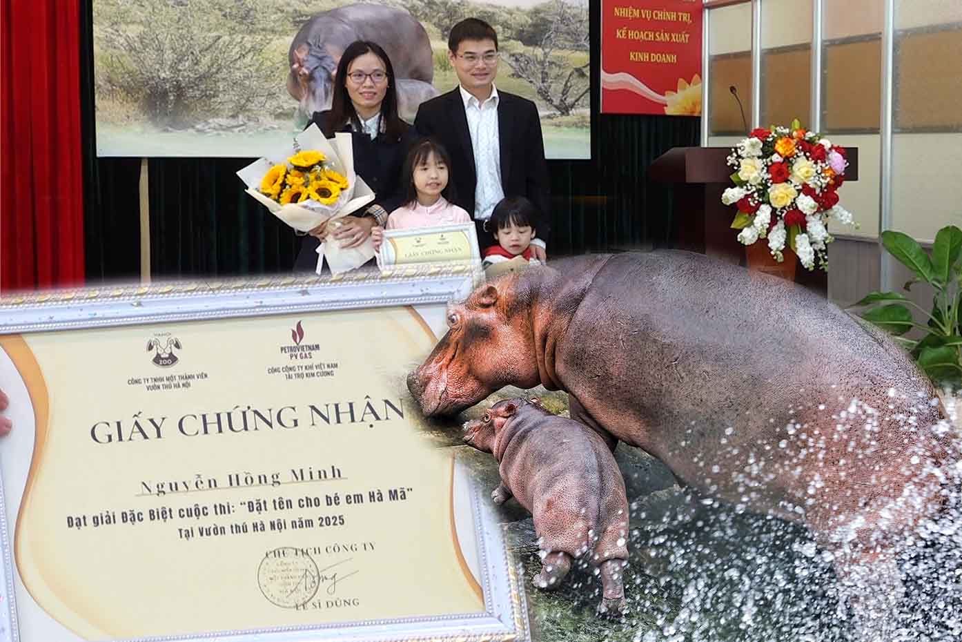 Meet the author who named the hippo that caused a stir at Hanoi Zoo