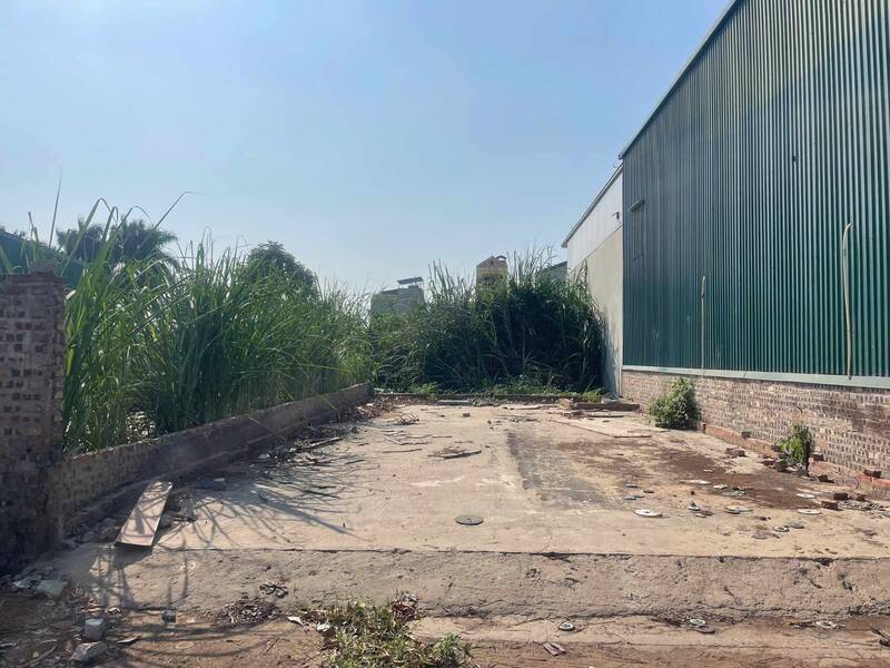 Rural land is popular due to its low capital and easy liquidity advantages. Photo: Thu Giang