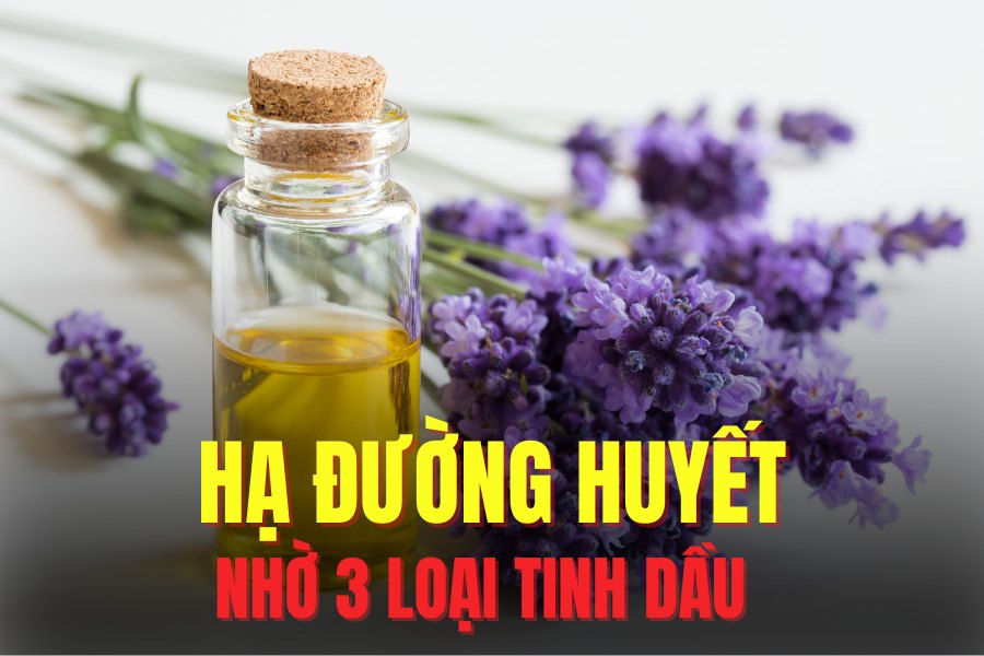 3 essential oils that help lower blood sugar. Graphics: Hoai Lan