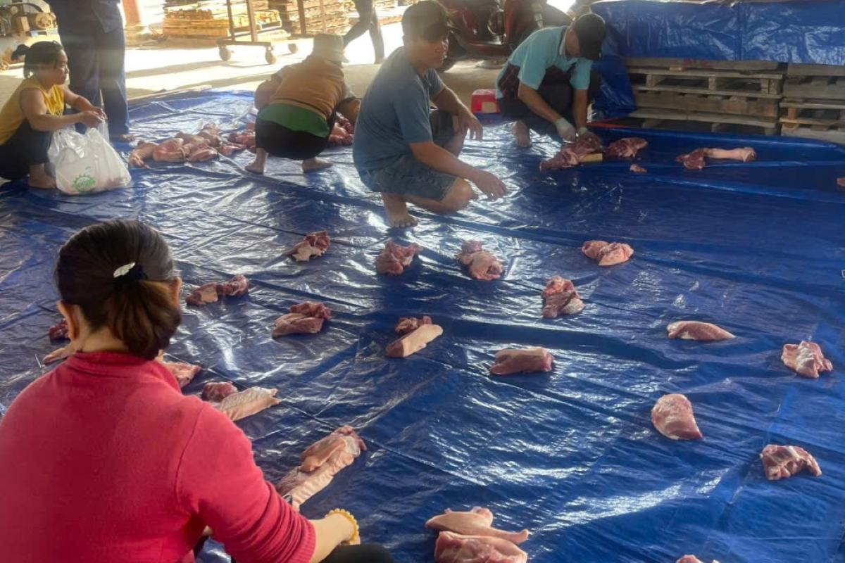Dividing pork into equal portions to distribute to workers. Photo: Thanh An