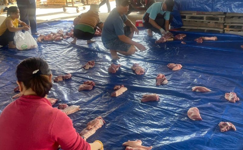 Dividing pork into equal portions to distribute to workers. Photo: Thanh An