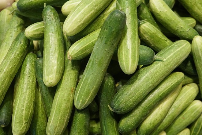 Cucumbers are low in calories and have a low glycemic index, making them very good for diabetics. Photo: Thanh Ngoc.
