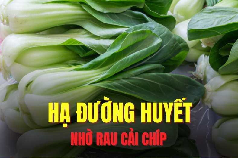 Using bok choy can effectively help lower blood sugar. Graphics: Hai Ly