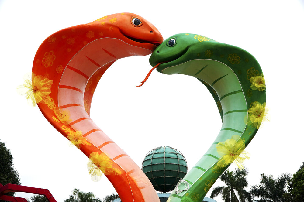 Two snake mascots form a heart shape in the flower garden of Ba To Park, Quang Ngai City. Photo: Vien Nguyen