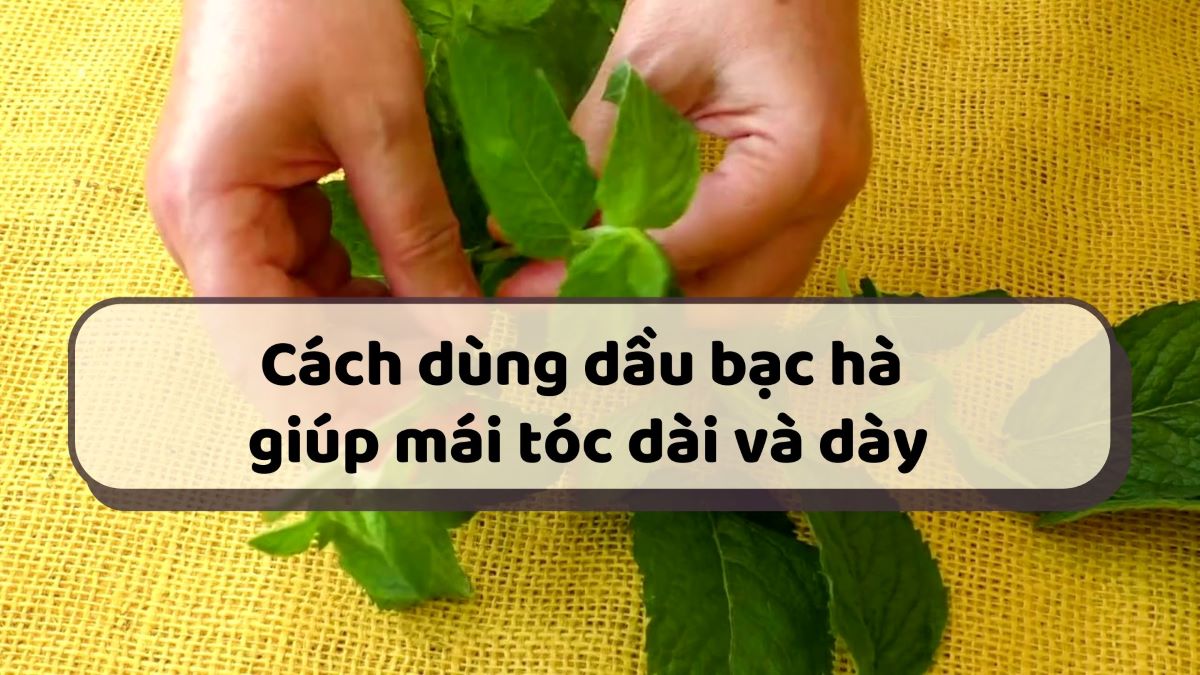 How to use peppermint oil for long and thick hair