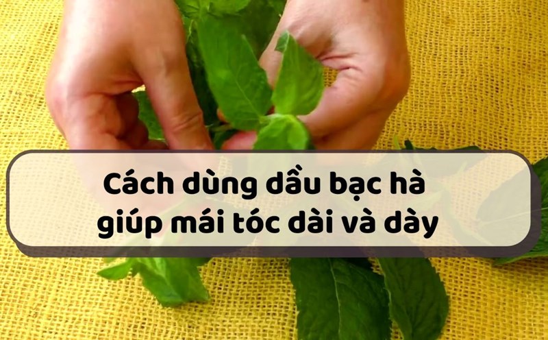 How to use peppermint oil for long and thick hair