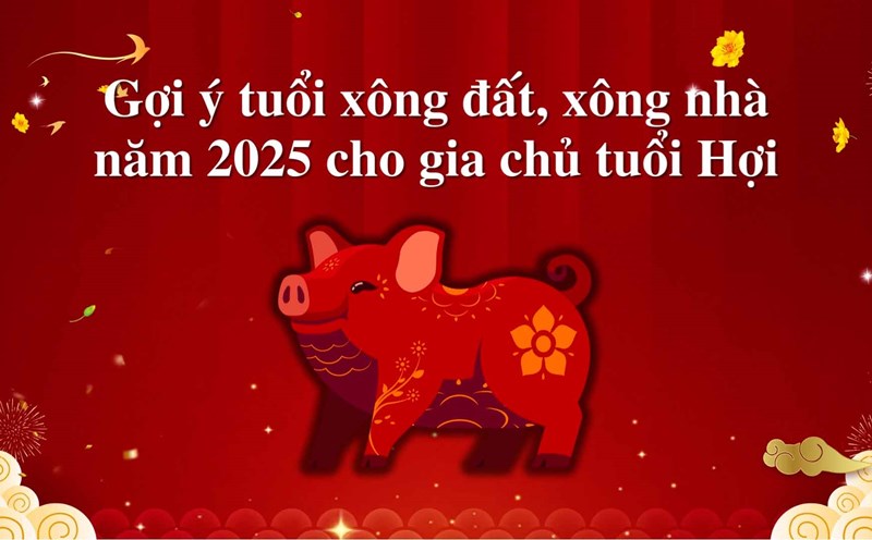 Suggested age to enter the house in 2025 for the homeowner born in the year of the Pig
