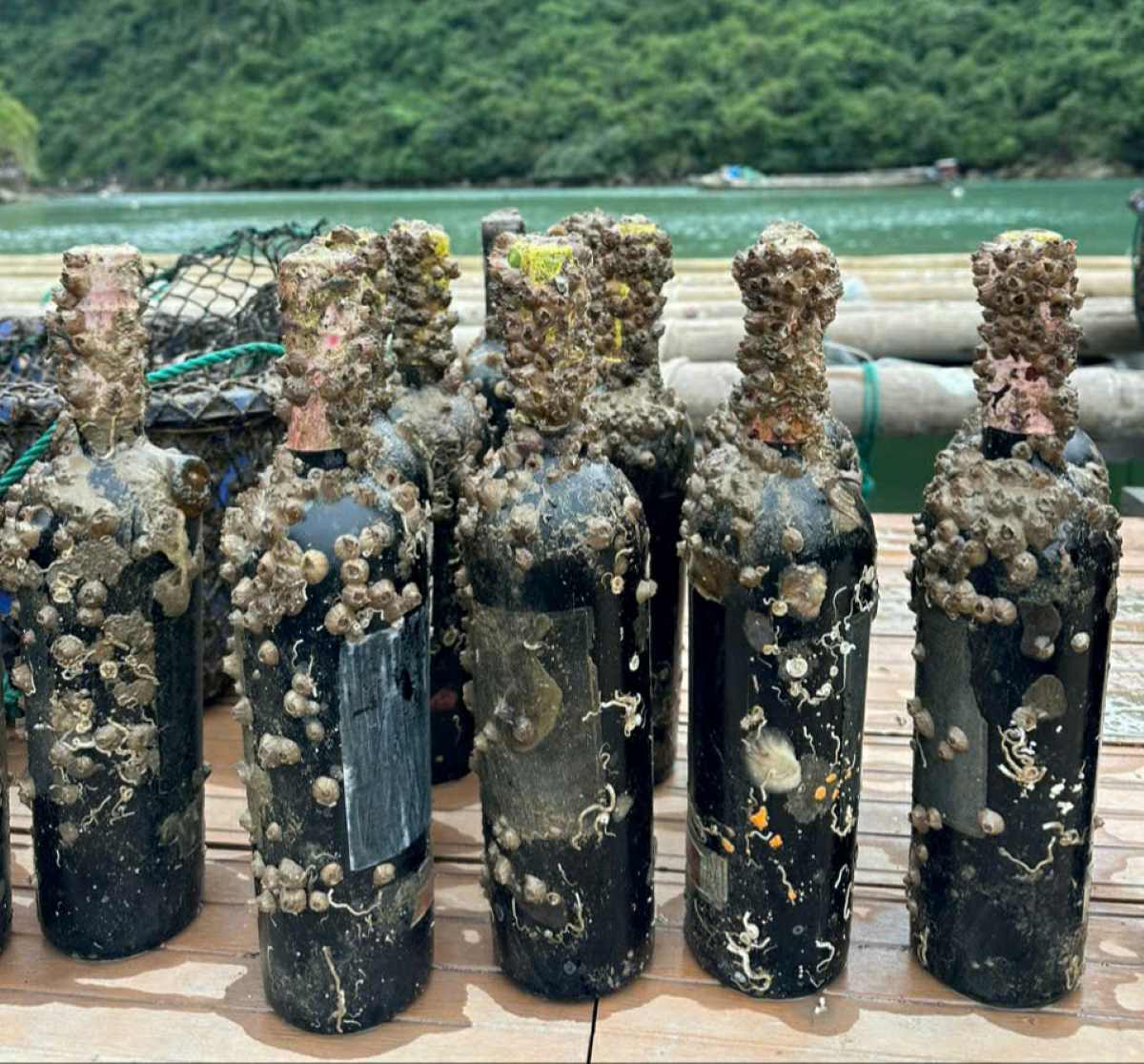 Wine bottles have just been salvaged from the bottom of Ha Long Bay. Photo: Nguyen Hung