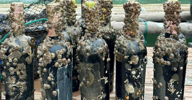 Lặn xuống đáy vịnh Hạ Long ngâm rượu
