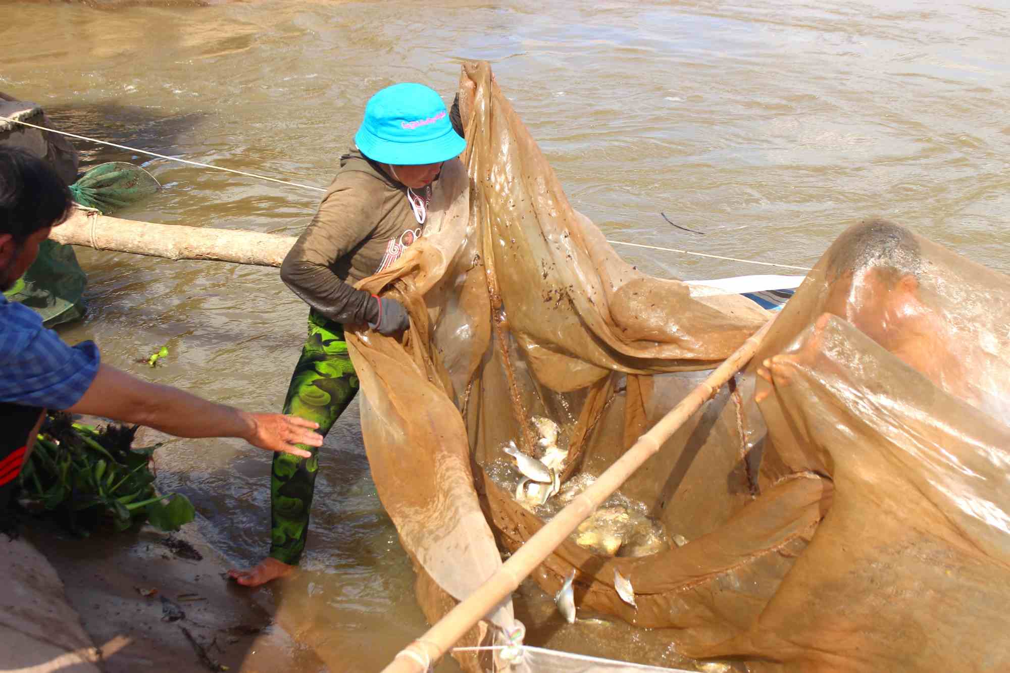 Nguoi dan o xa Vinh Hau (huyen An Phu, tinh An Giang) dong day bat ca. Anh: LUC TUNG