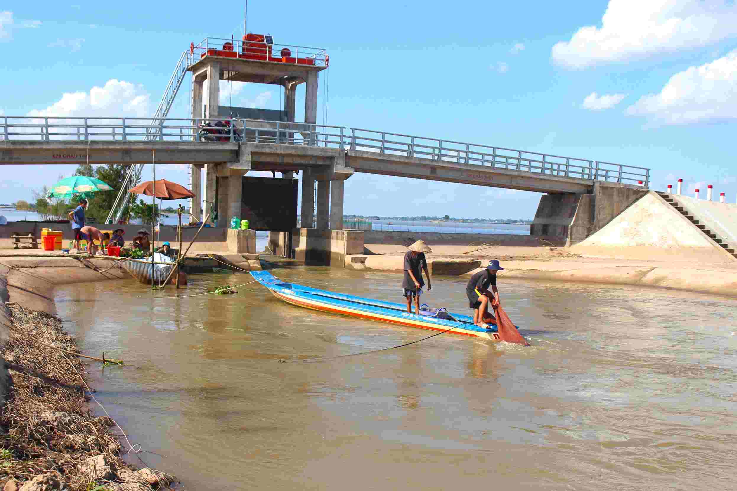 The time when water flows from the fields into the river is also the time when shrimp and fish are the biggest and fattest because they eat a lot of alluvium. Photo: LUC TUNG