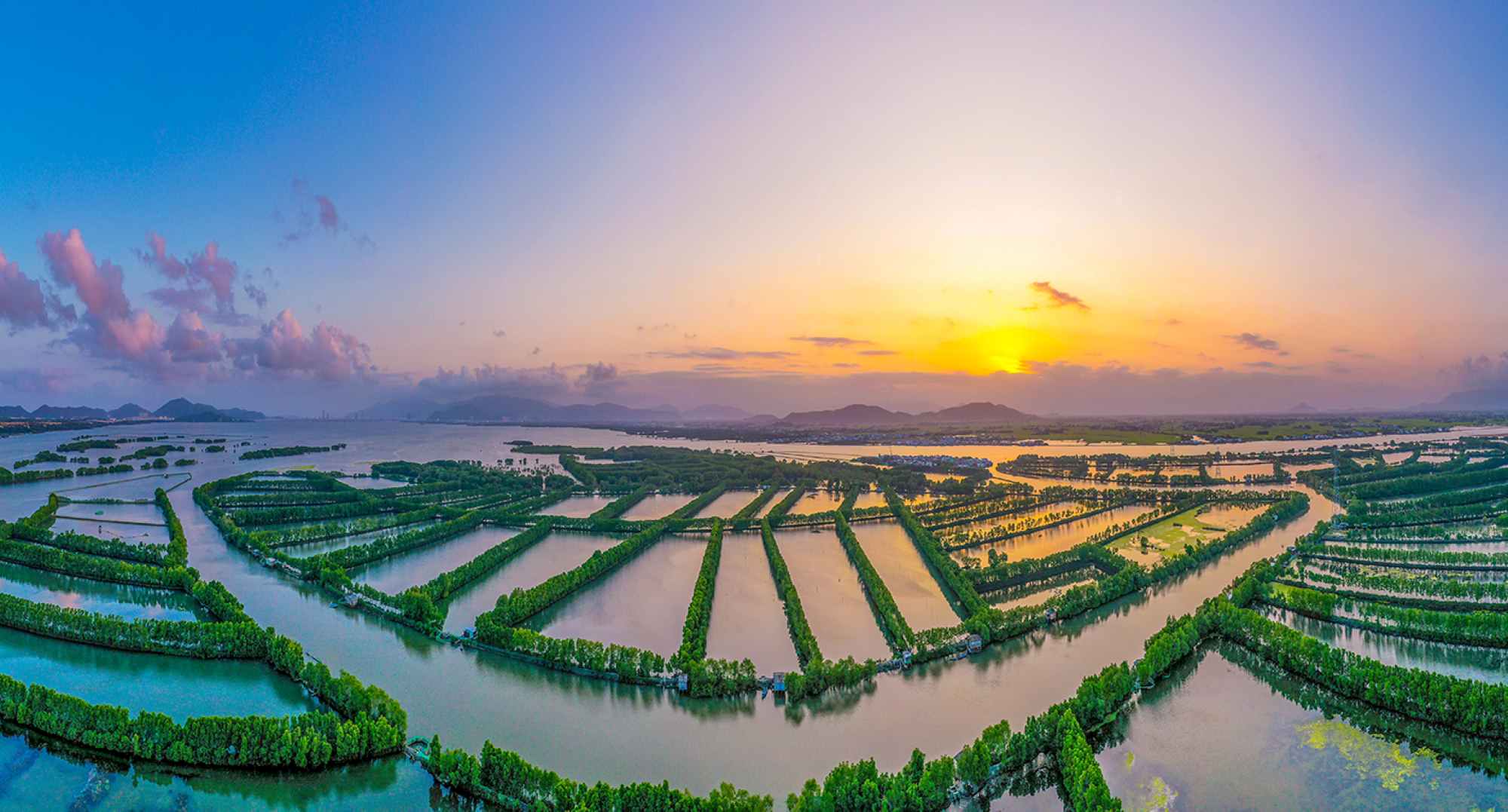 Thi Nai lagoon mangrove ecosystem. Photo: NGUYEN DUNG