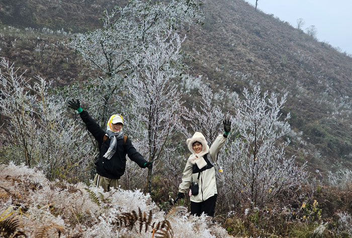 Anh Nguyen Trong Cung, chia se, hanh trinh chinh phuc dinh Lao Than tuy khong qua kho nhung doi hoi su chuan bi ky luong ca ve trang phuc lan the luc. Du khach can mang theo quan ao giu am, giay leo nui co do bam tot de chong tron truot va thuc pham du dung trong suot chuyen di.