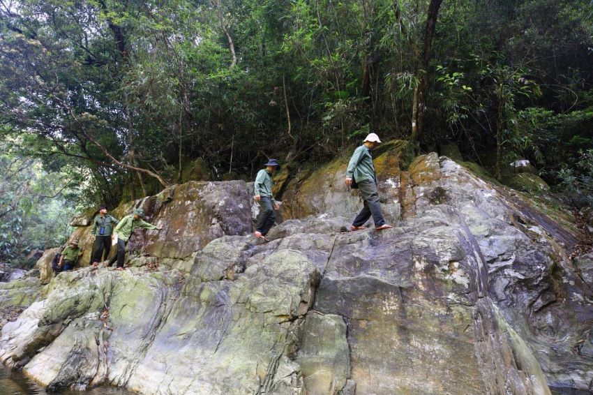 Forest rangers in Dakrong Nature Reserve patrol to protect the forest. Photo: H.Nguyen