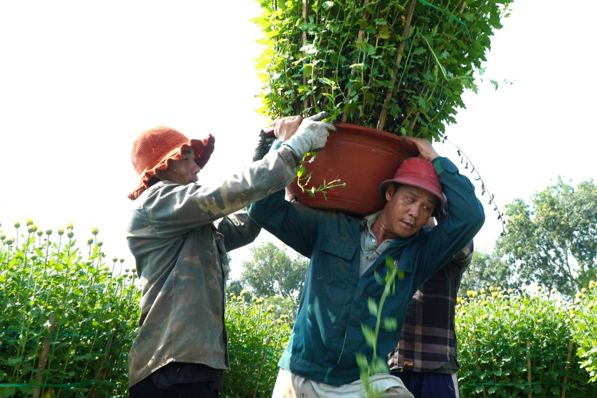 Khi chau hoa da yen vi on dinh tren vai, nguoi boc vac moi bat dau di chuyen. Cong viec kha nang nhoc doi hoi nguoi lam phai co suc khoe, va chiu kho. Anh: Thanh An