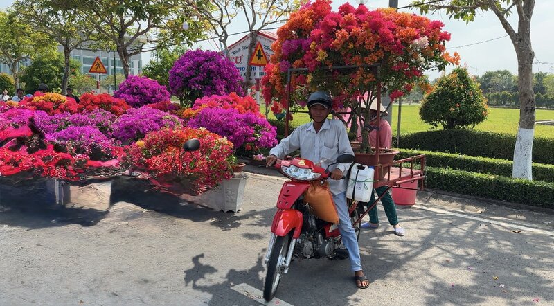 Earning millions every day from Tet flower and ornamental plant transportation service. Photo: Hoang Loc