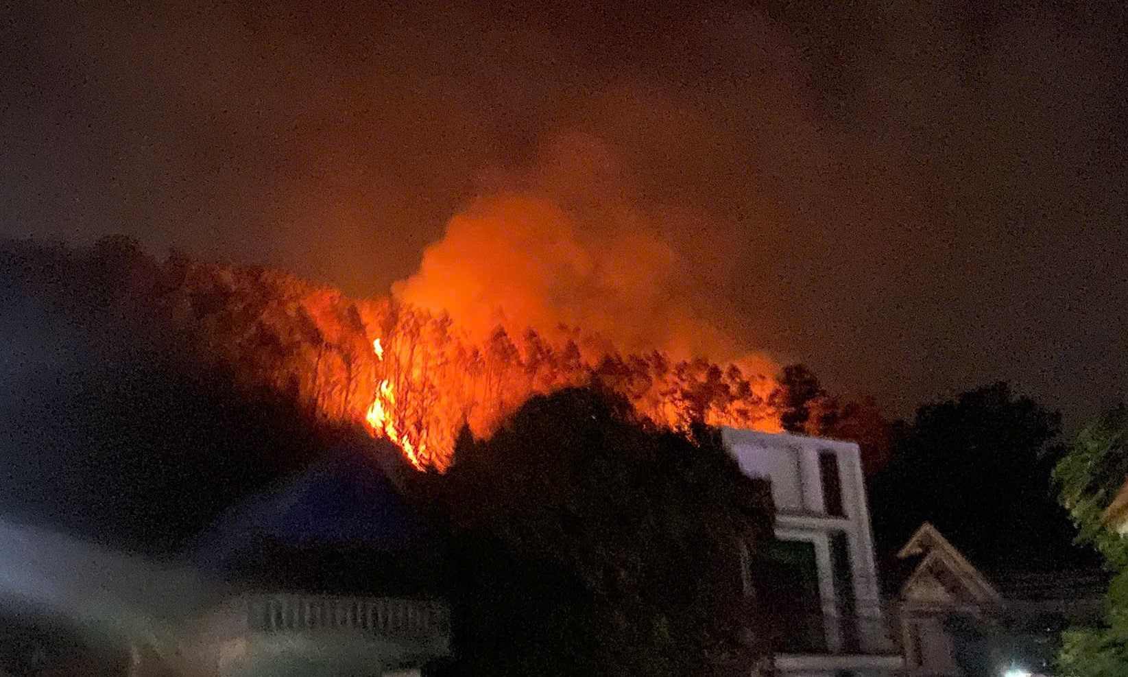 Forest fire in Voi Mountain area (An Lao, Hai Phong) on ​​the night of January 21. Photo: Provided by local people