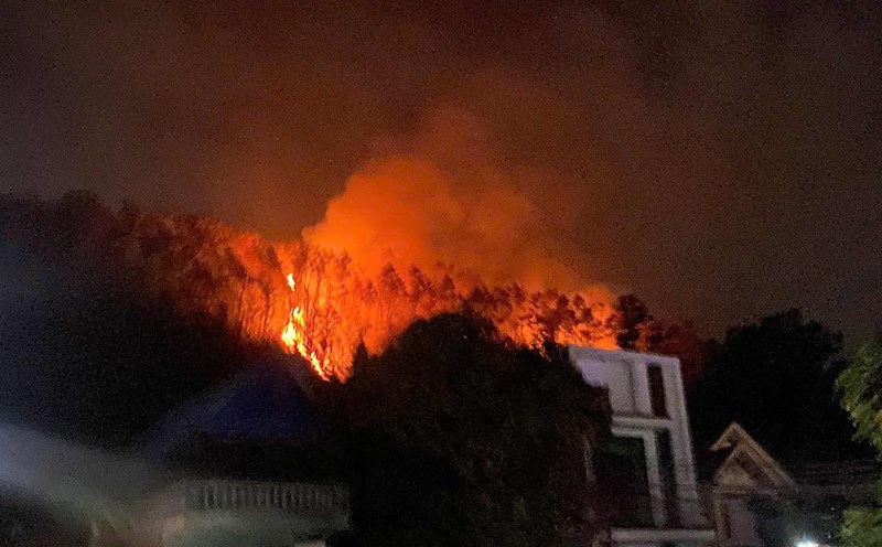 Forest fire in Voi Mountain area (An Lao, Hai Phong) on the night of January 21. Photo: Provided by local people