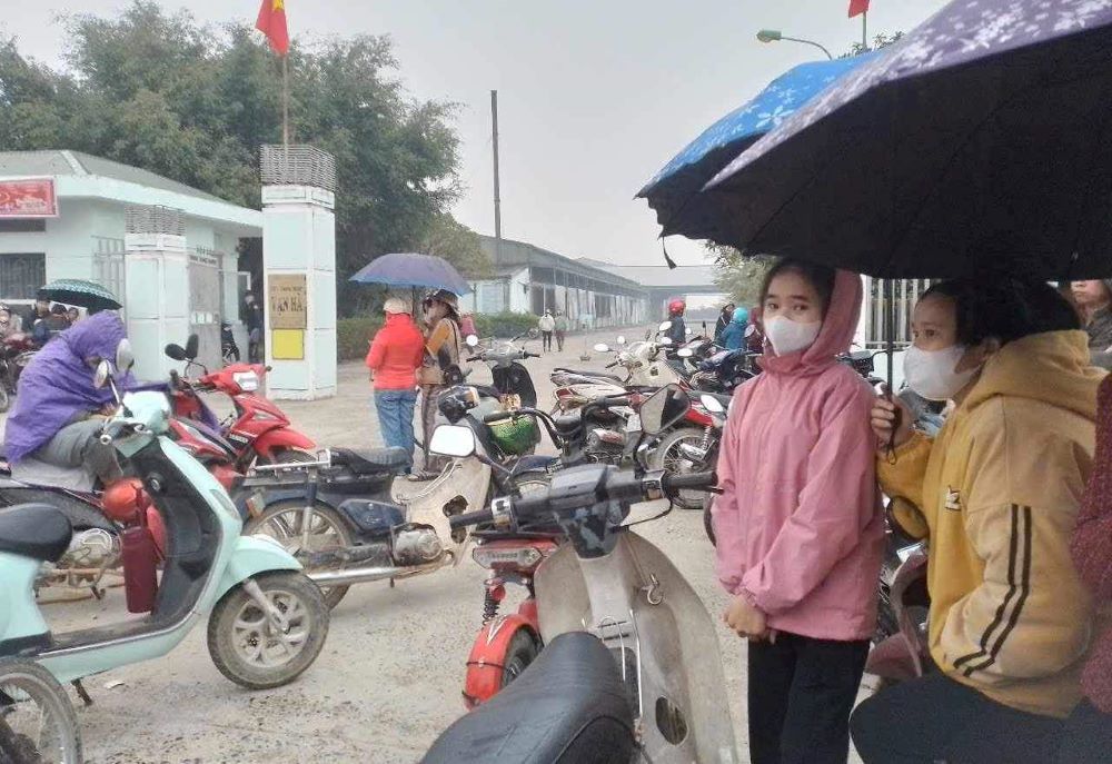 Workers at Van Ha Garment Company Ltd. stopped working on the morning of January 22. Photo: Thanh Duyen