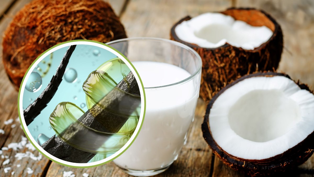 Sữa dừa tốt cho tóc. Đồ họa: Thanh Thanh 