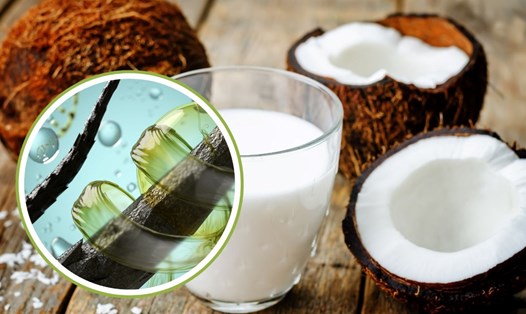 Sữa dừa tốt cho tóc. Đồ họa: Thanh Thanh