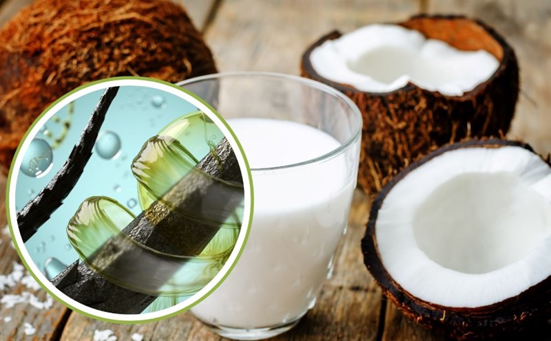 Coconut milk is good for hair. Graphics: Thanh Thanh