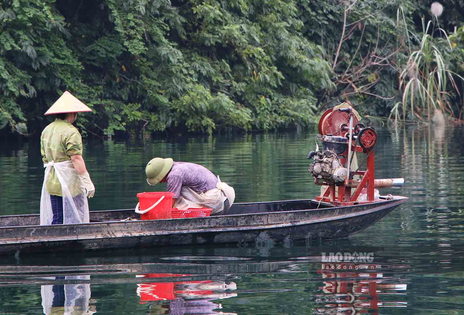 Phan lon ho la nhung ho thuoc dien di dan de lam thuy dien, quen voi nghe song nuoc, cac ho dan van quay ve long ho muu sinh bang nghe danh bat tom ca tu nhien.