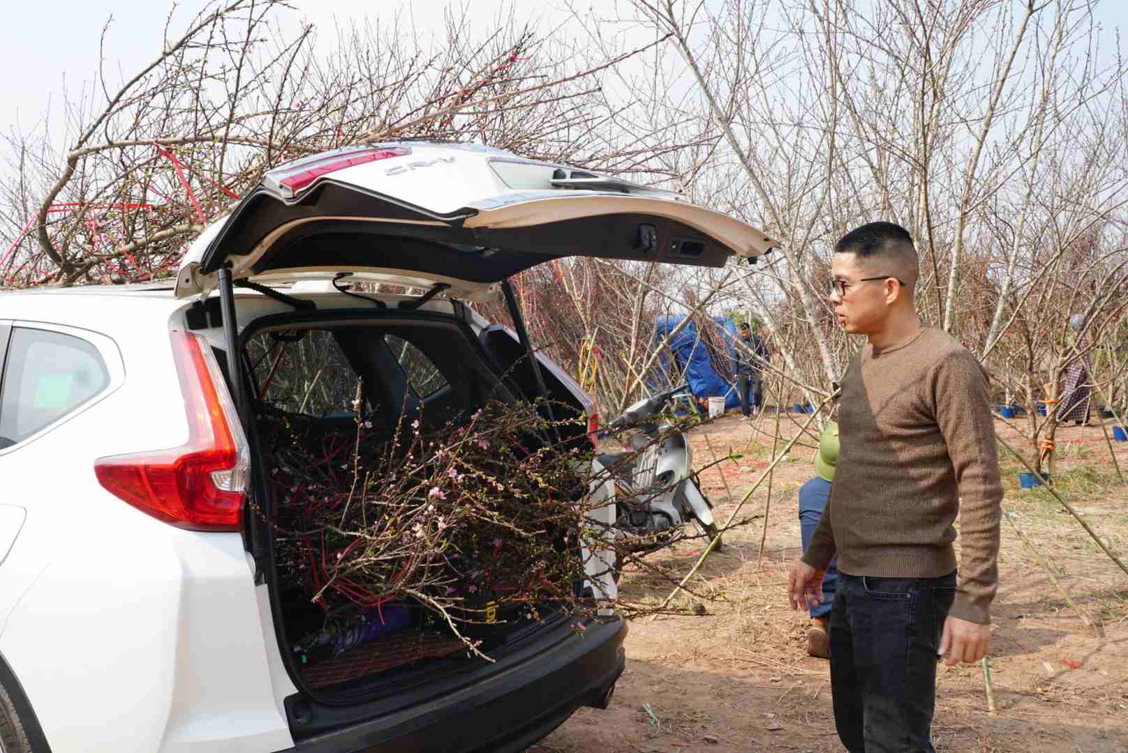 Anh Ngo Duy Hai (phuong Tan Binh, TP Hai Duong) chia se, nam nay, toi mua 7 canh dao huyen de trang tri nha cua don Tet vi day la loai dao co ve dep mem mai va sang trong. Thuong thi toi se di mua vao thoi diem nay moi nam de co the chon duoc nhung canh dao dep nhat, tuoi tan nhat, ma gia ca cung hop ly hon so voi sat Tet. 