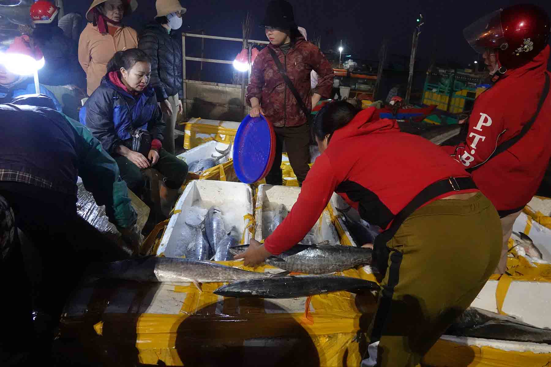 Nhung con ca lon duoc bay ban thu hut nhieu nguoi mua. Anh: Tran Tuan.