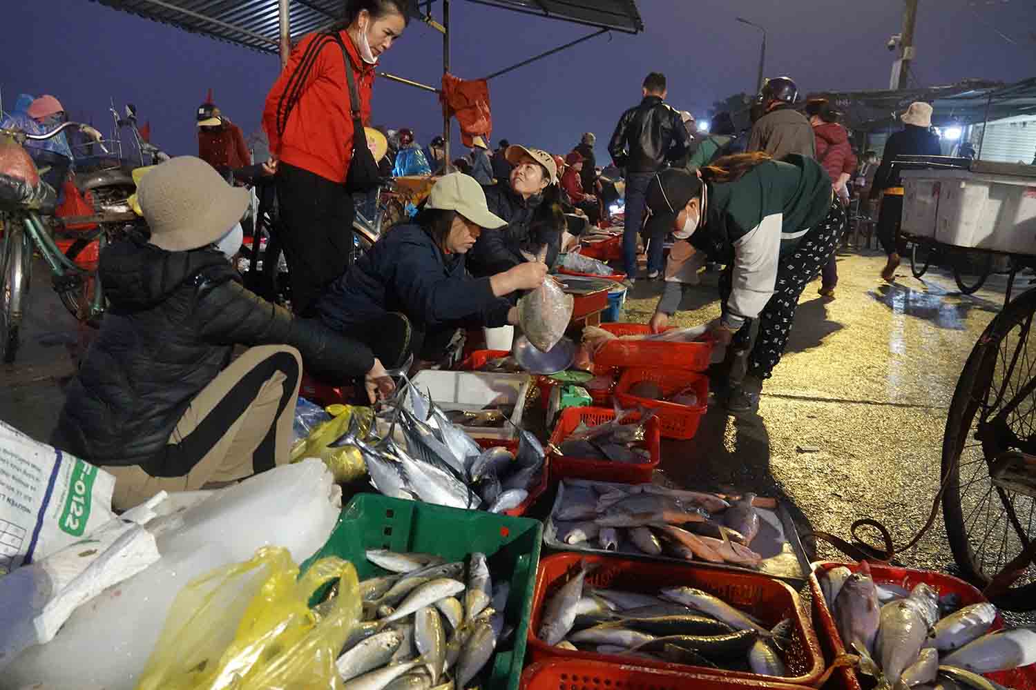 Nhung ngay can Tet tai Cang ca Cua Sot soi dong hon do nhu cau mua lon dip Tet. Anh: Tran Tuan.