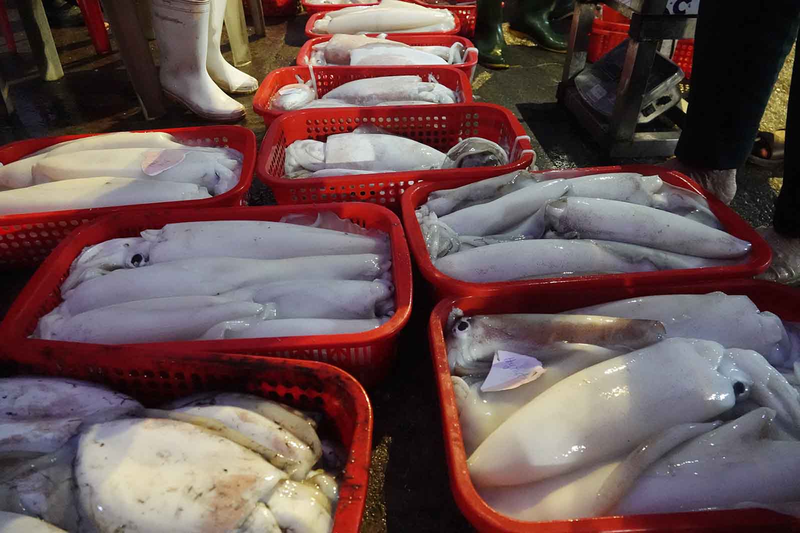 Nhung mo muc tuoi roi. Anh: Tran Tuan.