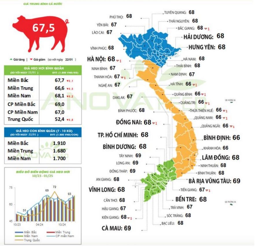 Cập nhật giá lợn toàn quốc ngày 23.1.2025. Nguồn: Anova Feed