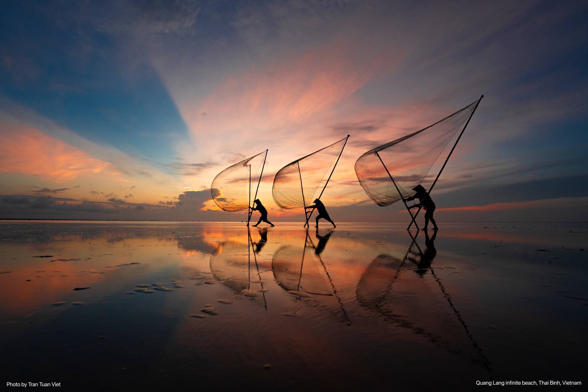 Works on display at the exhibition. Photo: Provided by the character