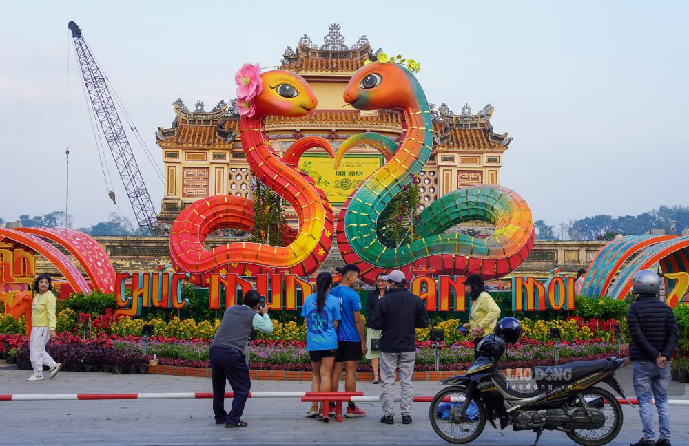 Mau sac cua linh vat ran Hue cung la diem nhan thu hut su chu y cua du khach. Su pha tron giua cac gam mau vang nhat, xanh luc va do cam tao nen mot tong the hai hoa, dep mat va rang ro.