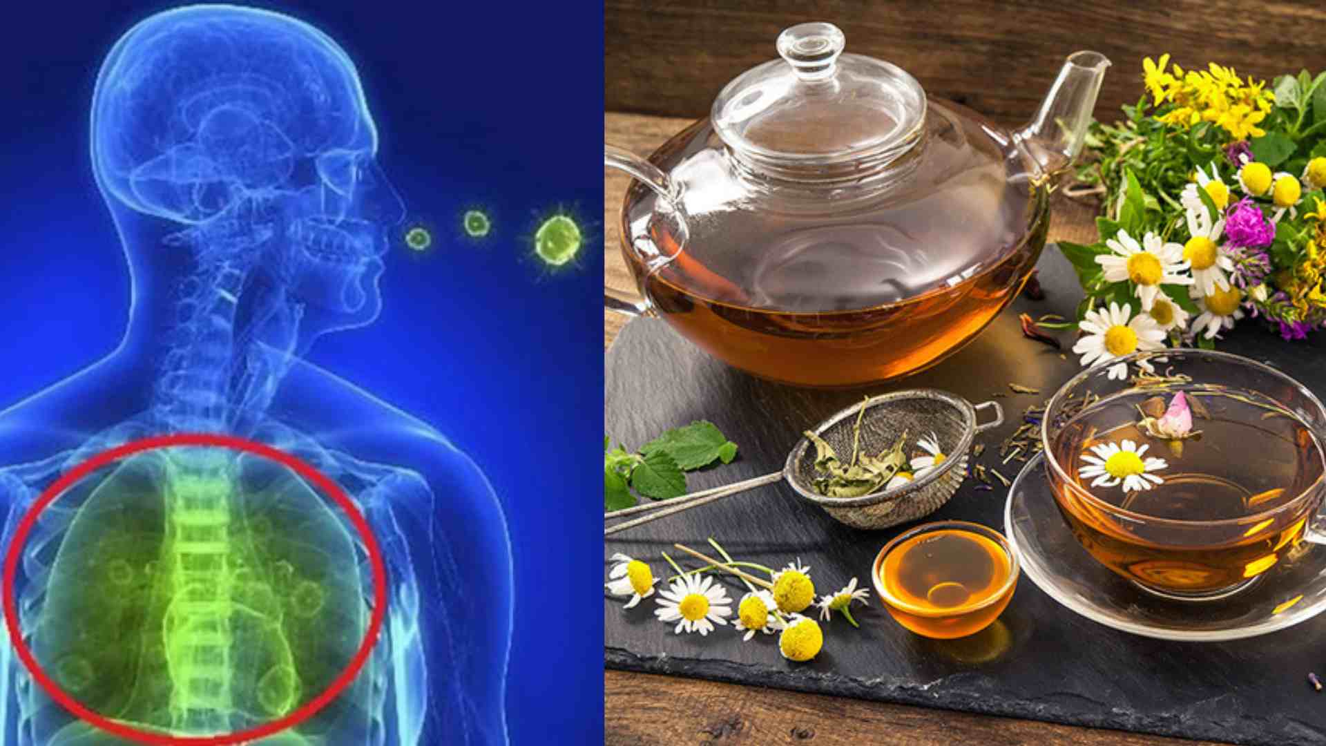 How to make herbal tea to help fight bacteria and ease coughs. Graphics: Cao Thom
