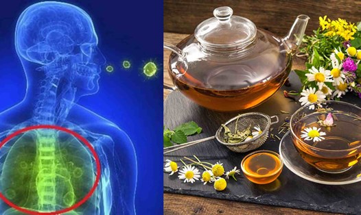 Cách làm trà mộc giúp kháng khuẩn, đơn giản những cơn ho. Đồ họa: Cao Thơm
