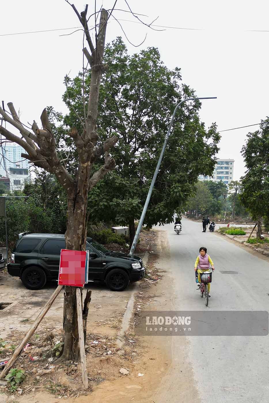 Ba Tran Thi Tam (tru tai to dan pho 8, phuong Van Phuc) cho biet, do duoc dau tu xay dung do dang nen canh quan khu vuc ngay cang hoang hoa, nhieu cay xanh ben duong da chet kho, nhung khong co don vi nao thay the.