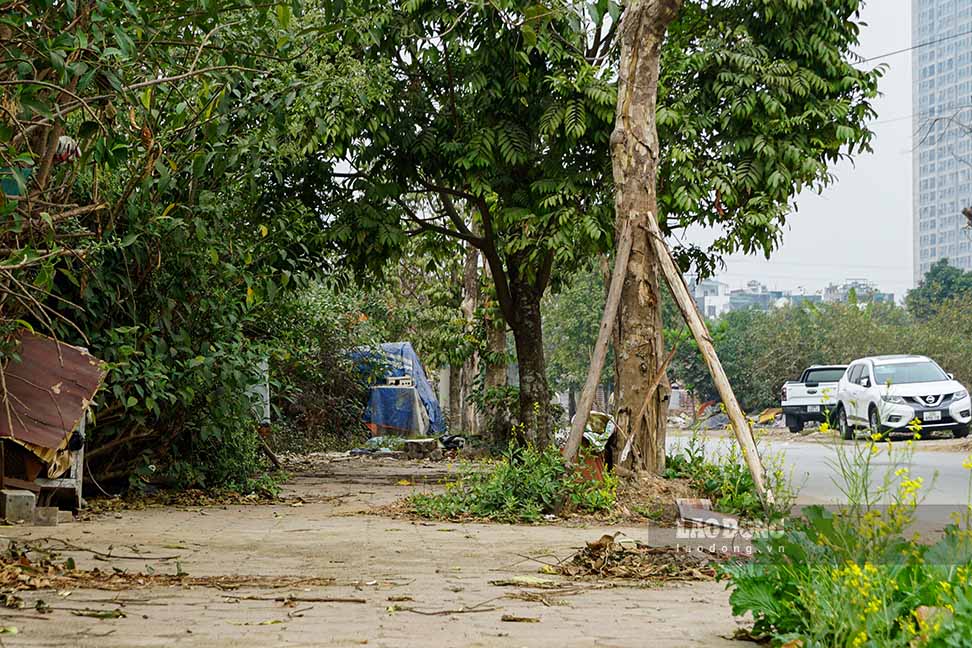 Theo tim hieu, du an Khu dan cu moi va Khu dat dich vu phuong Van Phuc duoc dau tu ha tang ky thuat tu nam 2010 voi dien tich gan 16 ha. Tuy nhien, sau khi UBND phuong Van Phuc giao dat cho nguoi dan vao nam 2015, khu vuc nay van vang ve, chu yeu ton tai cac day nha xuong va bai tap ket rac thai.