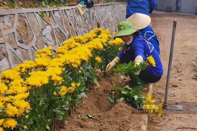 Cac cong nhan trong hoa tren duong vao Den Gieng. Anh: To Cong.