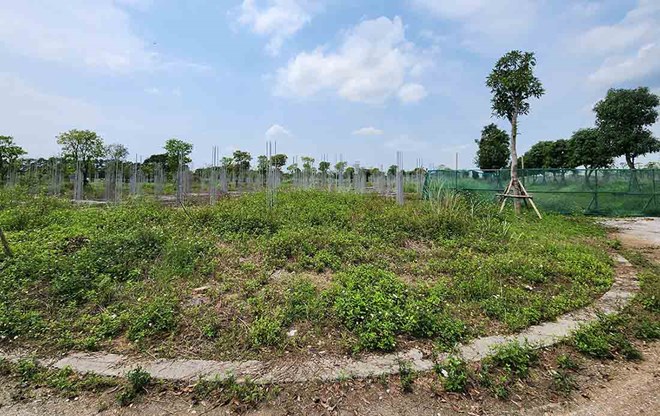 Cheap land is attracting the attention of investors. Photo: Cao Nguyen