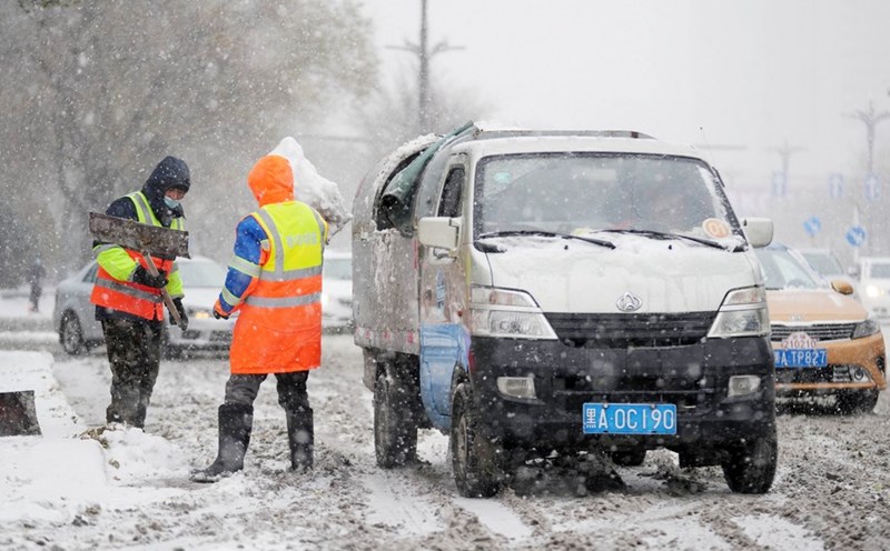 Snow falls during a strong cold front in Harbin, China. Photo: Xinhua